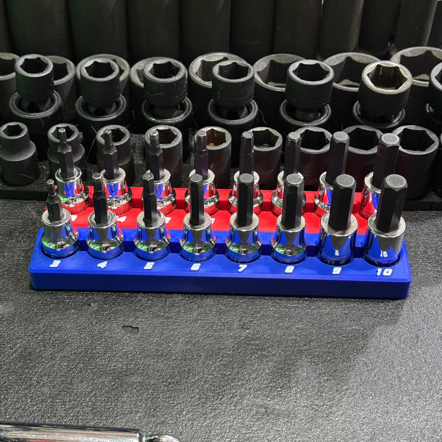 Magnetic Allen Socket Holder | Hex Bit Socket Organizer | Metric - SAE | 1/4 & 3/8 Drive Toolbox Organizer
