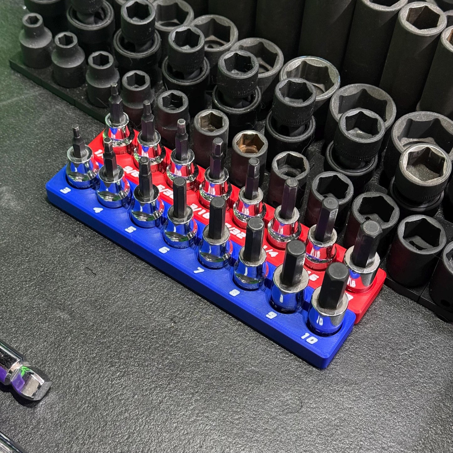 Magnetic Allen Socket Holder | Hex Bit Socket Organizer | Metric - SAE | 1/4 & 3/8 Drive Toolbox Organizer