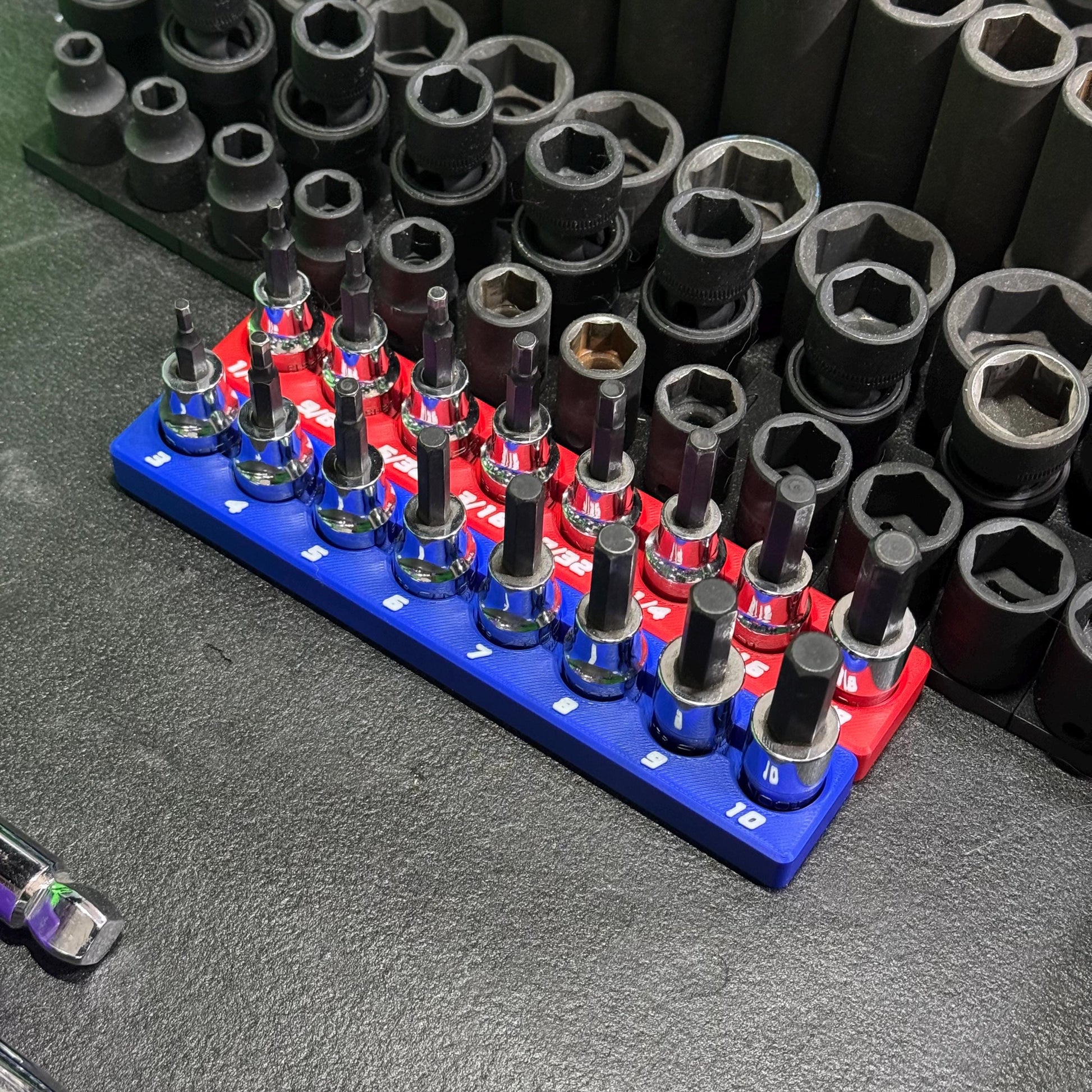 Magnetic Allen Socket Holder | Hex Bit Socket Organizer | Metric - SAE | 1/4 & 3/8 Drive Toolbox Organizer