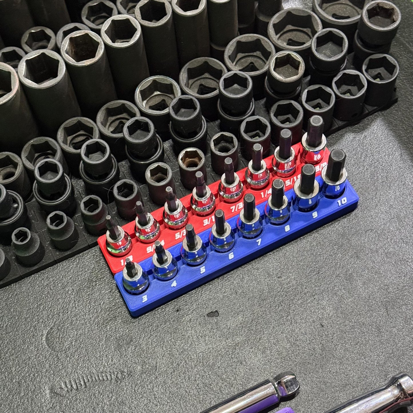 Magnetic Allen Socket Holder | Hex Bit Socket Organizer | Metric - SAE | 1/4 & 3/8 Drive Toolbox Organizer