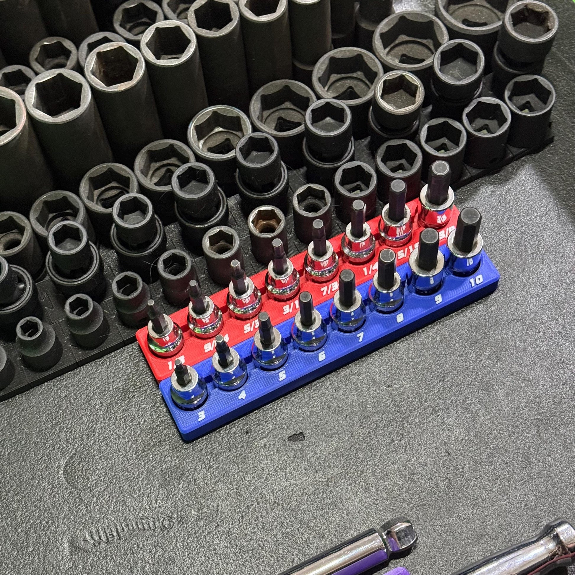 Magnetic Allen Socket Holder | Hex Bit Socket Organizer | Metric - SAE | 1/4 & 3/8 Drive Toolbox Organizer